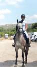Cheval a vendre