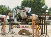 Cheval a vendre