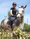 Cheval a vendre