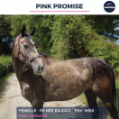 PINK PROMISE - PS - 5 ANS
