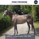 PINK PROMISE - PS - 5 ANS