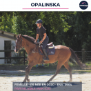 OPALINSKA - PS - 5 ANS