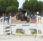 Pouliche Welsh PB par Greatstar Embet Tilia