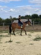 Cheval d’avenir