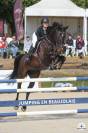 Jument cso Amateur 