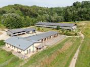 Stables Manager - Az. Agricola Alterreno - Toscana