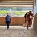 Stables Manager - Az. Agricola Alterreno - Toscana