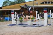 Jolie jument de sport de 6 ans 