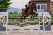 Jolie jument de sport de 6 ans 