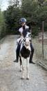 Poney d’1m35