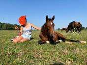 Foal Selle français Joker d'Euskadi mère iso 137