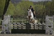 Guest Star du Valya - Selle Français 2016