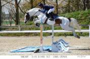 Guest Star du Valya - Selle Français 2016