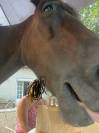Poney haut niveau cso