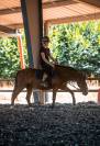 Ponette C 