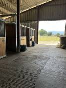 Pension chevaux 