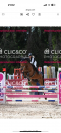 Jument 6 ans cso