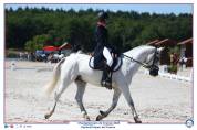 Poney D cce 