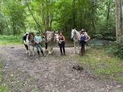 Balades et randonnées à cheval 