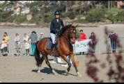 Poney E par Perle des fontaines X Carlson  CSO