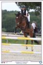 Poney E par Perle des fontaines X Carlson  CSO