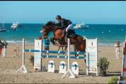 Poney E par Perle des fontaines X Carlson  CSO
