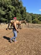 Equitation en Conscience - STAGES ET ACCOMPAGNEMENTS
