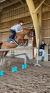 Poney en demi-pension