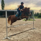 Poney en demi-pension