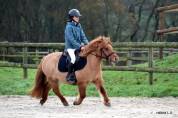 Ponette shetland taille B