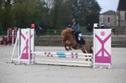 Ponette shetland taille B