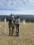 Cheval gentil élégant performant jusqu'a 130