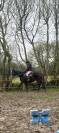 Pensions chevaux - Ecurie Le prelong - 49460 Montreuil juigne