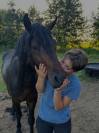 Poney connemara entier 4 ans 