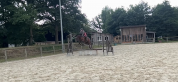 Cheval à vendre 