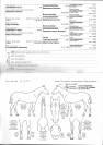 Magnifique ponette de sport D Welsh Partbred