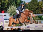 Location Poney de Compétition CSO - Djauny du Garon