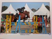 Location Poney de Compétition CSO - Djauny du Garon