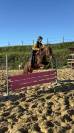 Tiers de pension pour poney PFS 7 ans 
