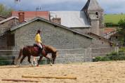 Tiers de pension pour poney PFS 7 ans 