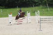 Tiers de pension pour poney PFS 7 ans 