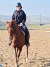Tiers de pension pour poney PFS 7 ans 