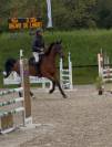À vendre Hongre 9ans 1m84