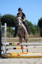 Cheval à vendre