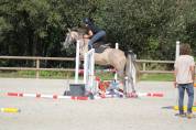 Cheval à vendre
