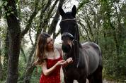 cheval à vendre 