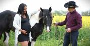 ETALON PAINT HORSE BLACK TOBIANO