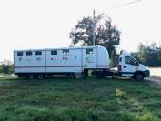 Horsebox HGV Iveco IVECO 35C18 / Semi Remorque VOW 2010 Used