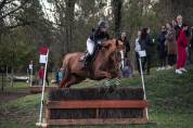 Jument 9 ans CSO 
