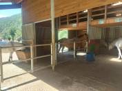 Equestrian property  Ain
